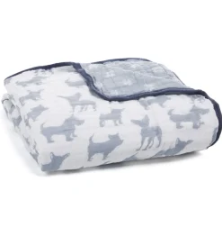 Aden + Anais Classic Dream Blanket - Waverly