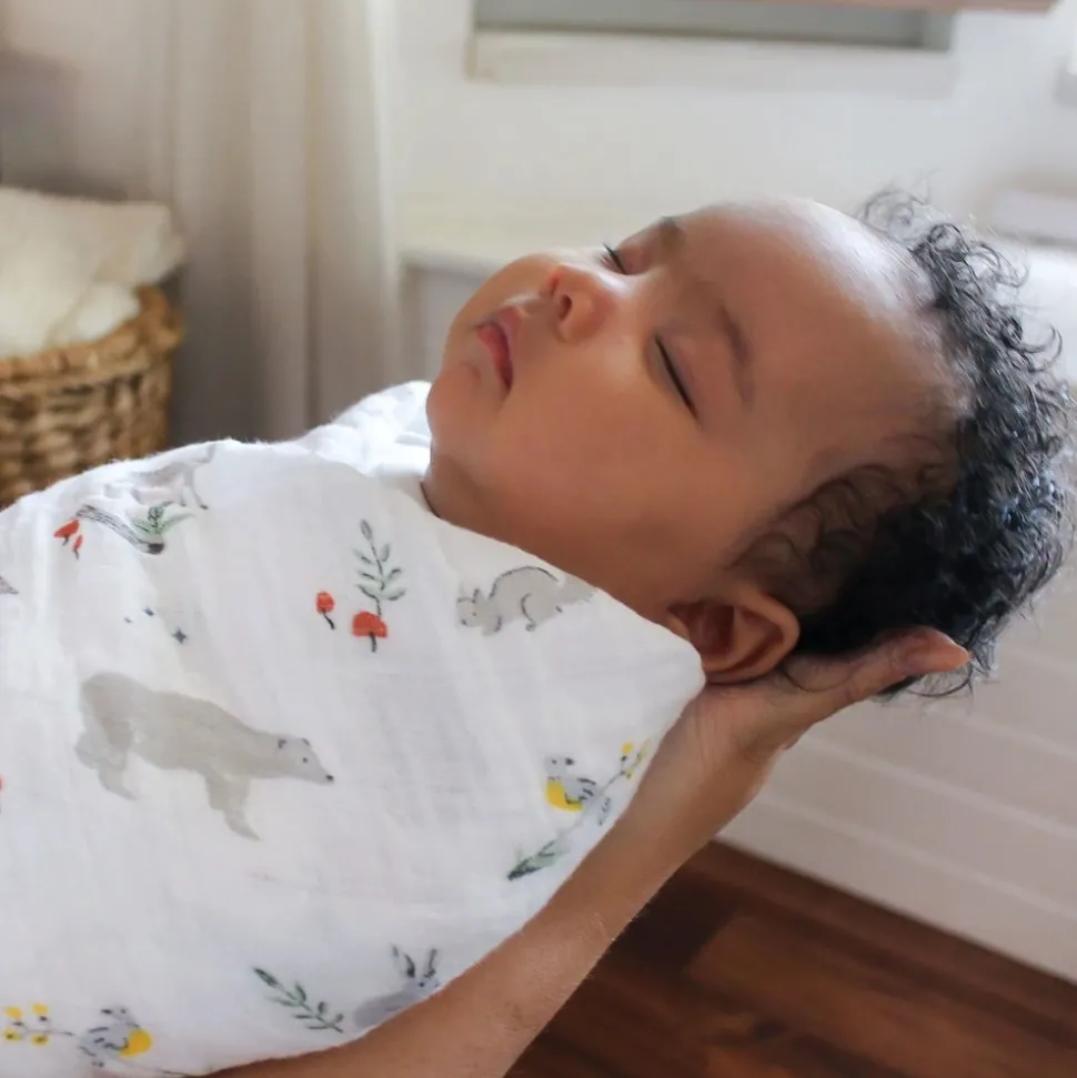 Aden + Anais Classic Swaddle Wraps, 4 Pack - Naturally