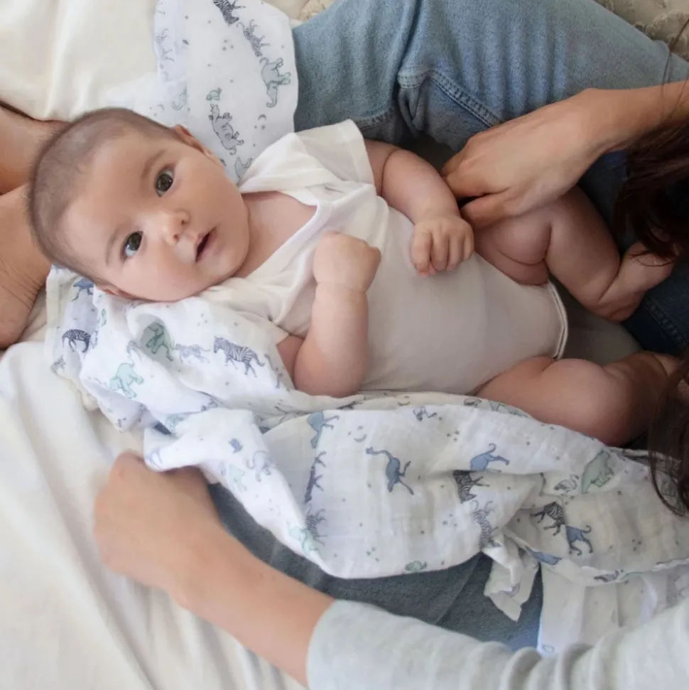 Aden + Anais Classic Swaddle Wraps, 4 Pack - Rising Star