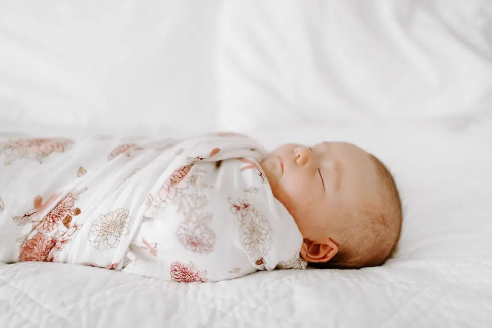 Aden + Anais Classic Swaddle Wraps, 4 Pack - Dahlias
