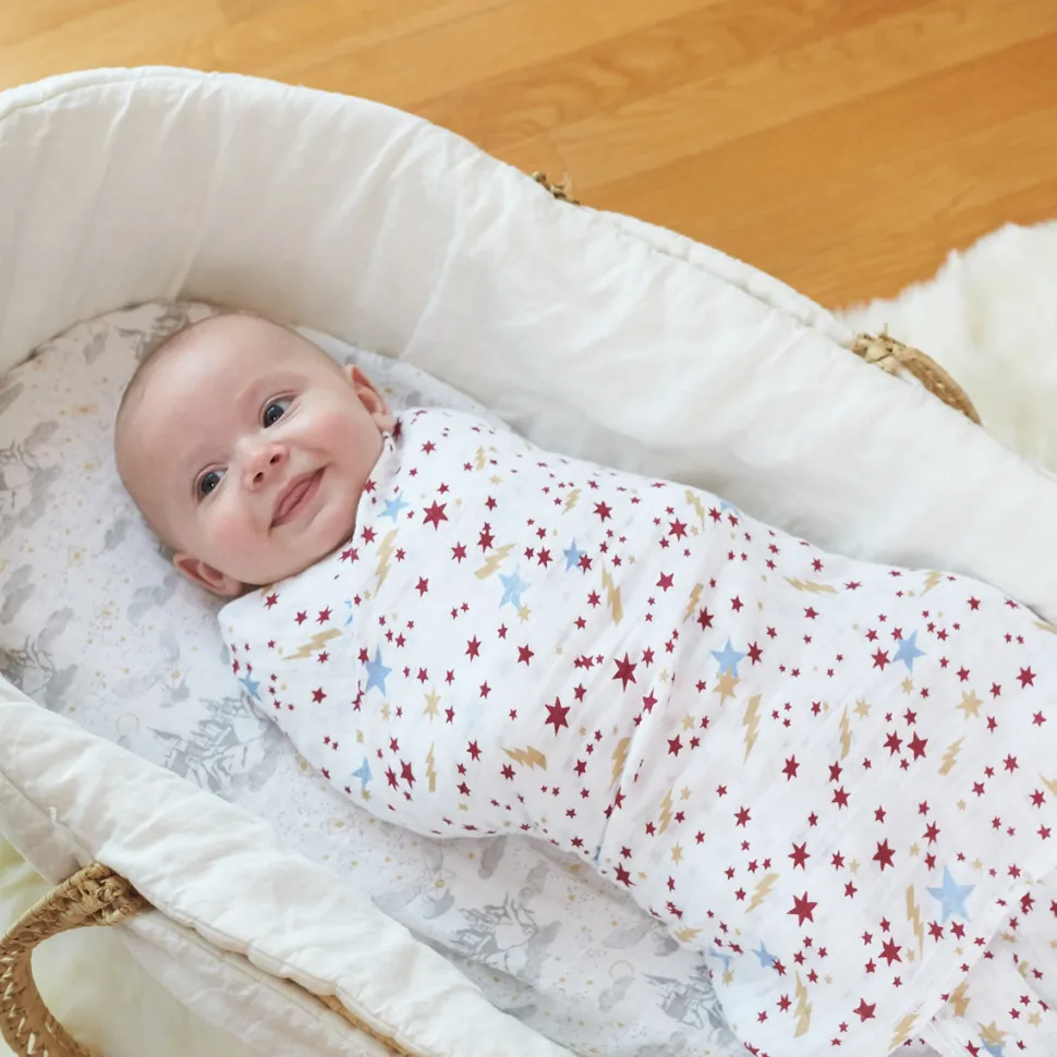 Aden + Anais Classic Swaddle Wraps, 4 Pack - Harry Potter Iconic