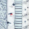 Aden + Anais Essentials Swaddle Wraps, 4 pack - Seashore