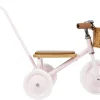 Banwood Vintage Trike - Pink