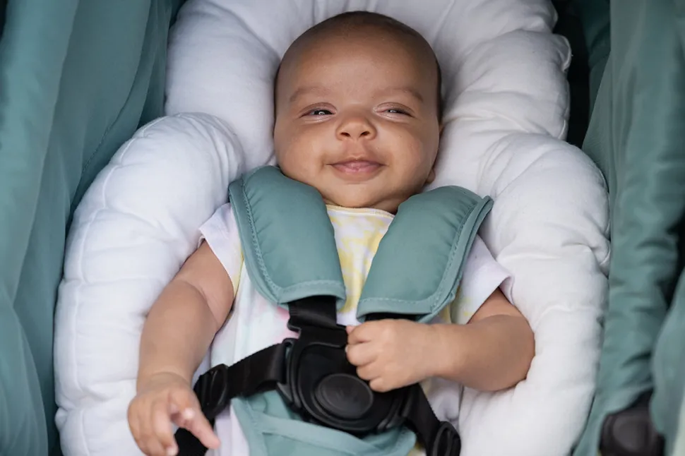 Bumbleride Organic Cotton Infant Insert