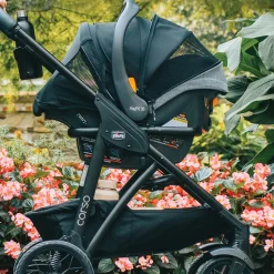 Chicco Corso Primo ClearTex Travel System - Aspen