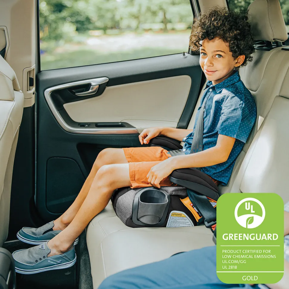 Chicco GoFit ClearTex Backless Booster Car Seat - Reef