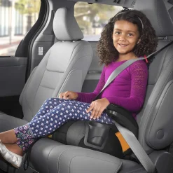 Chicco GoFit Plus Belt Positioning Booster Car Seat - Stream