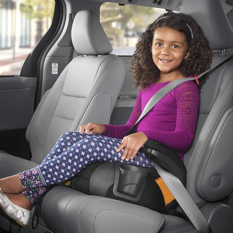 Chicco GoFit Plus Belt Positioning Booster Car Seat - Stream
