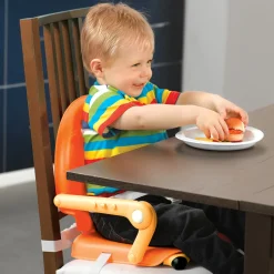 Chicco Pocket Snack Portable Booster Chair - Grey