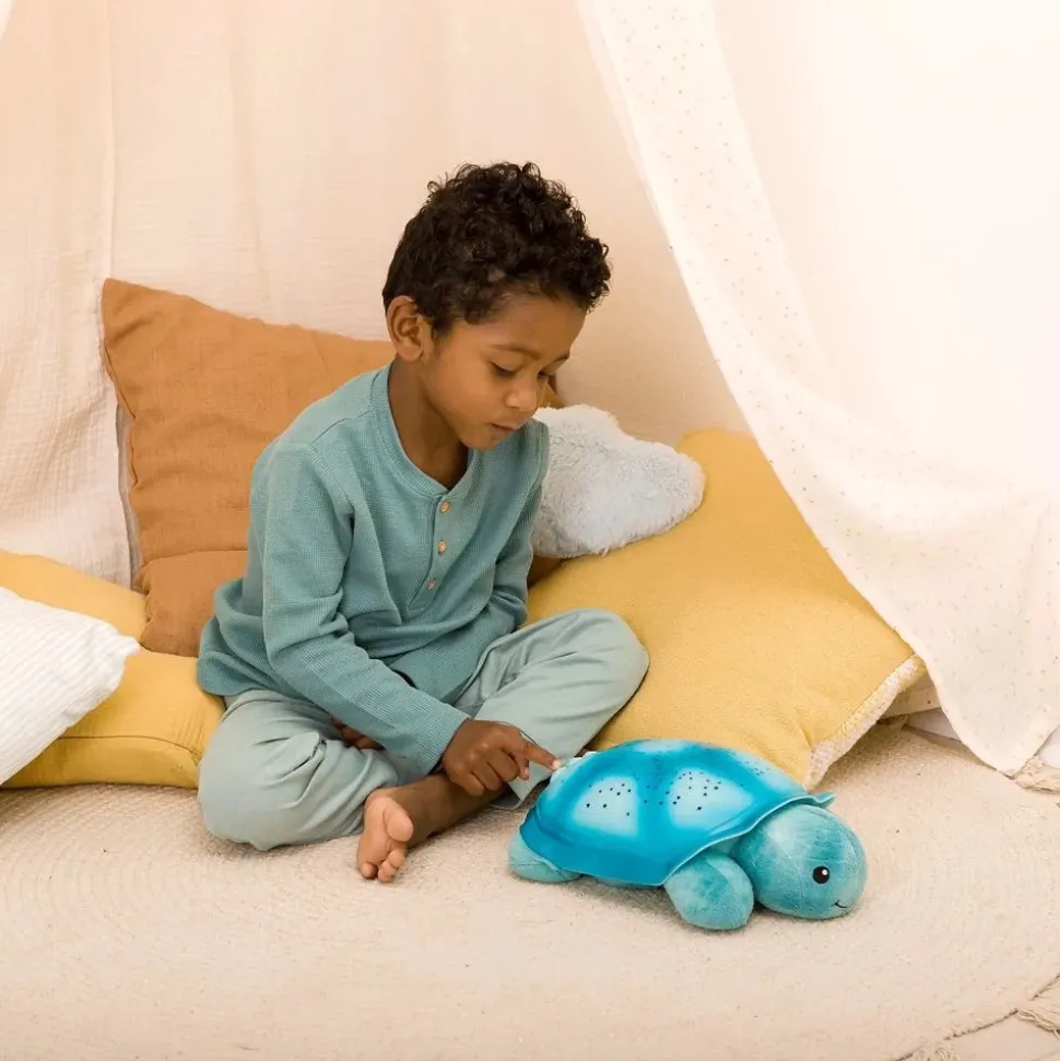Cloud b Twinkling Twilight Turtle - Aqua