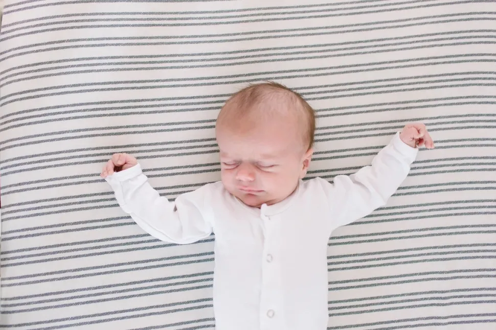 Copper Pearl Premium Fitted Crib Sheet - Midtown