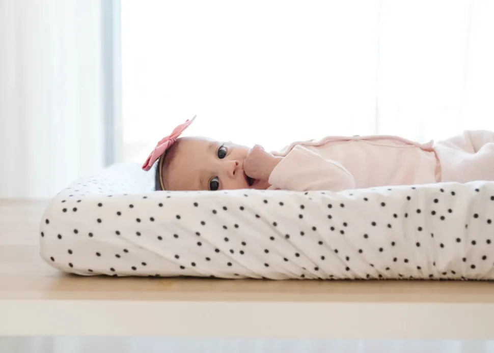 Copper Pearl Premium Knit Diaper Changing Pad Cover - Willow