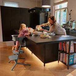 Cybex LEMO 2 High Chair Set + Training Tower Bundle - Pearl Pink