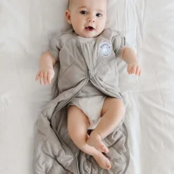 Dreamland Baby Dream Weighted Swaddle (Gen 2) - Moon Grey, 0-6 months