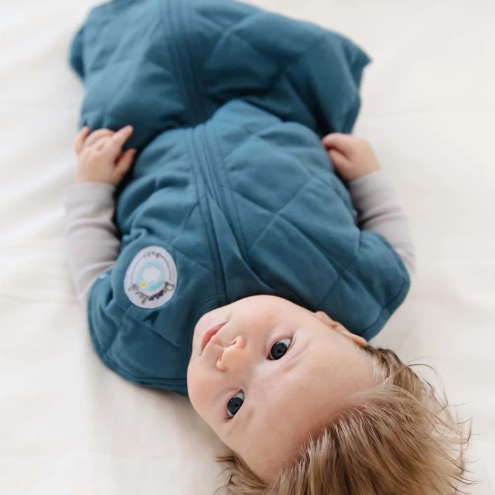 Dreamland Baby Dream Weighted Swaddle (Gen 2) - Ocean Blue, 0-6 months
