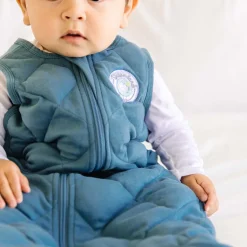 Dreamland Baby Dream Weighted Sleep Sack - Ocean Blue, 12-24 months