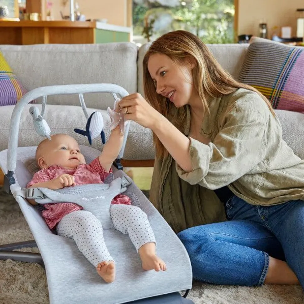 Ergobaby 3-in-1 Evolve Bouncer + Toy Bar Bundle - Charcoal Grey