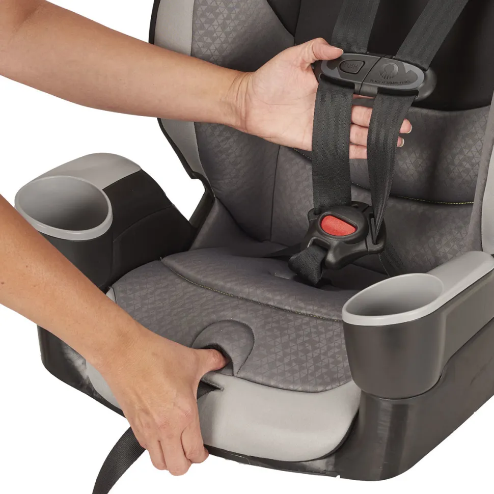 Evenflo Maestro Sport Harness Booster Car Seat - Crestone Peaks