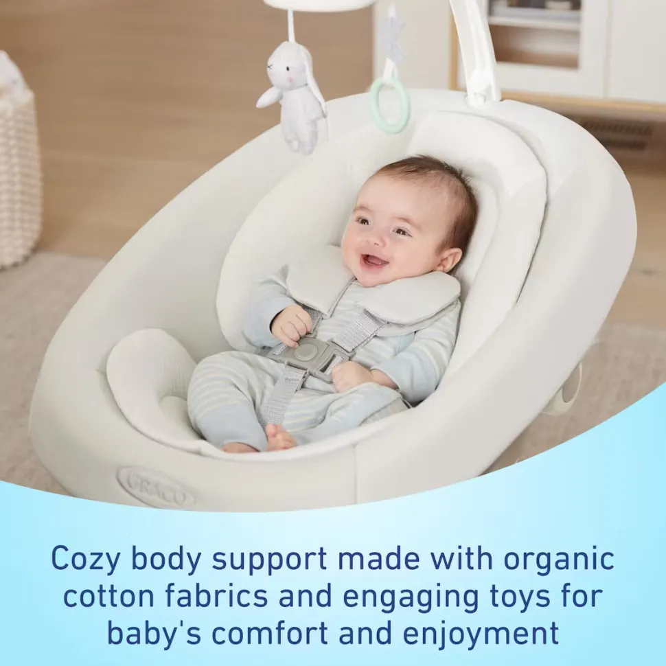 Graco SmartSense Soothing Baby Swing - Rori