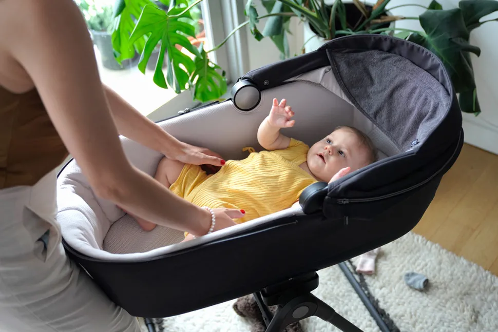 Inglesina Electa Bassinet + Stand - Chelsea Gray