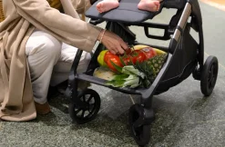 Inglesina Electa Stroller - Chelsea Gray