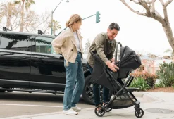 Inglesina Quid 3 Car Seat Adapter