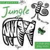 Jungle: A Slide & Play Book by Surya Sajnani