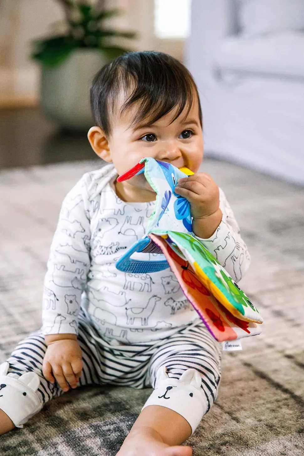 Kids2 Baby Einstein Curious Explorers Teether Book Take-Along Toy
