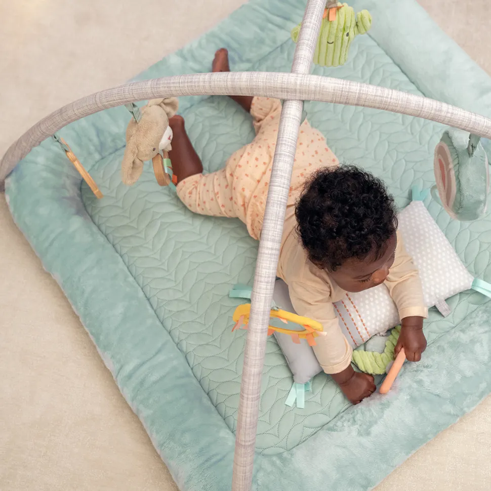 Kids2 Ingenuity Calm Springs Plush Activity Gym - Chic Boutique