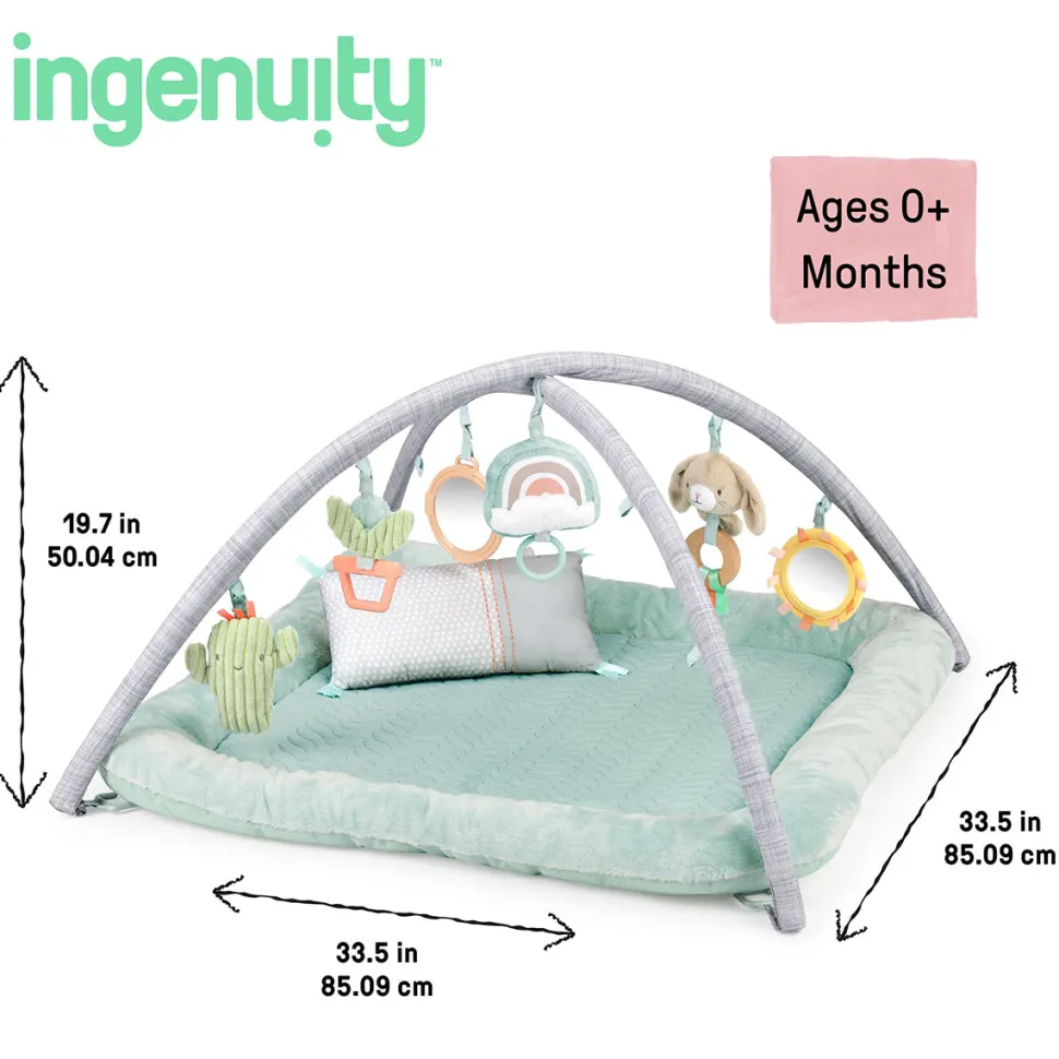 Kids2 Ingenuity Calm Springs Plush Activity Gym - Chic Boutique