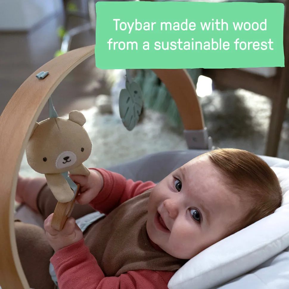 Kids2 Ingenuity Cozy Spot Soothing Bouncer