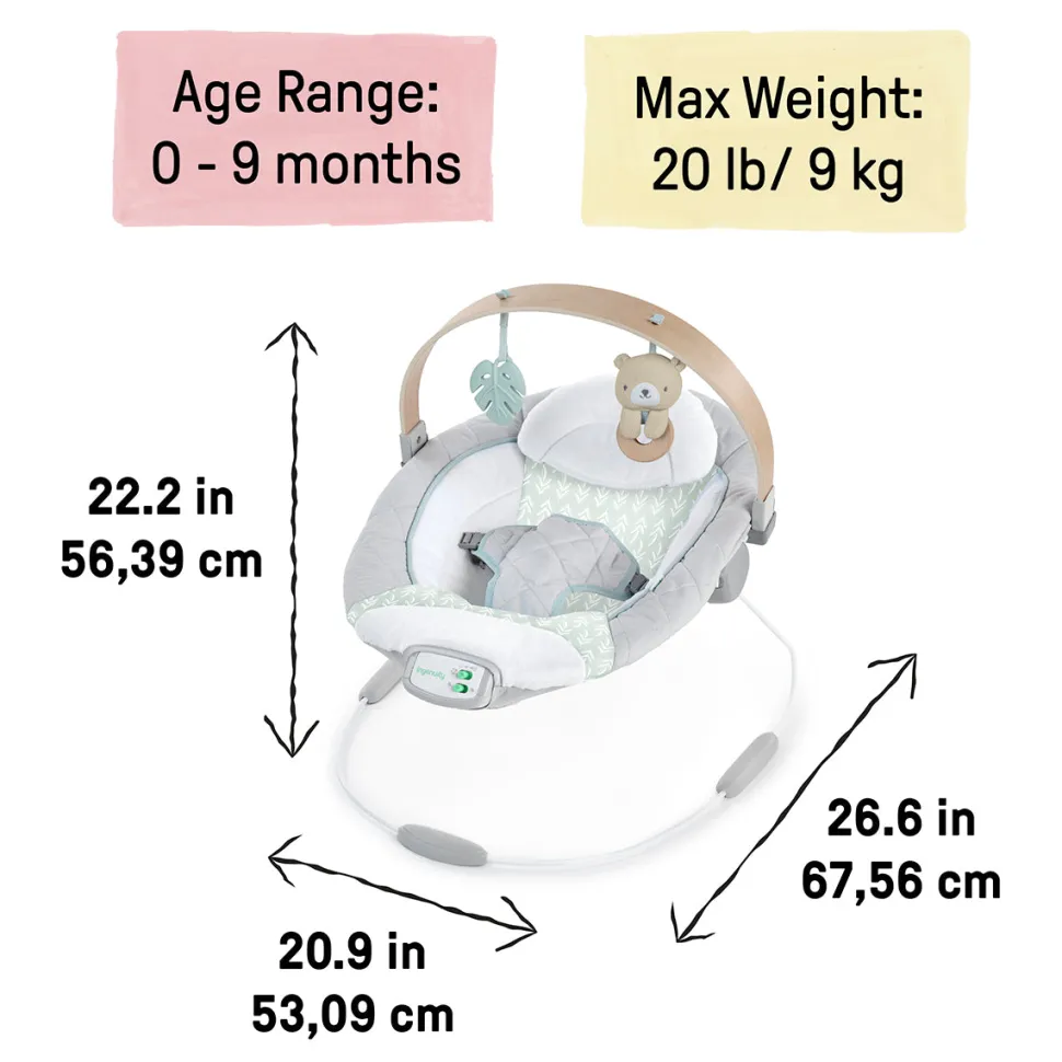 Kids2 Ingenuity Cozy Spot Soothing Bouncer