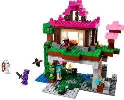 LEGO Minecraft: The Training Grounds
