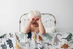 Little Unicorn Cotton Muslin Swaddle 3 Pack - Dino Friends 2 set