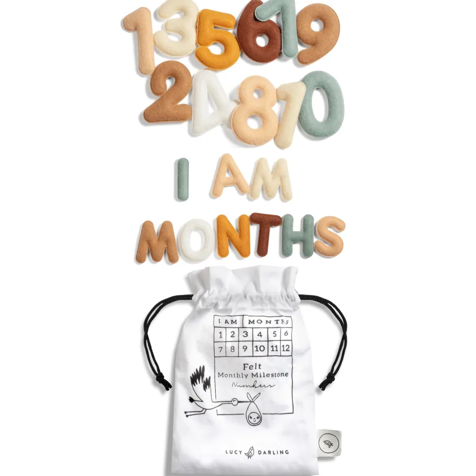 Lucy Darling Monthly Milestone Felt Letters - Neutral