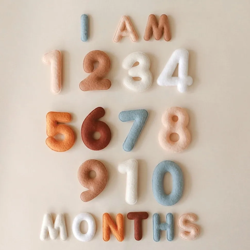 Lucy Darling Monthly Milestone Felt Letters - Neutral
