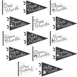 Lucy Darling Petit Milestone Pennant - Little Stargazer