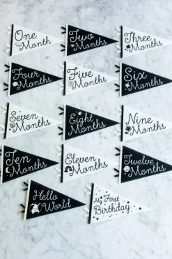 Lucy Darling Petit Milestone Pennant - Little Stargazer