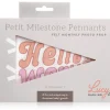 Lucy Darling Petit Milestone Pennant - Flower Child