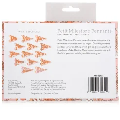Lucy Darling Petit Milestone Pennant - Flower Child