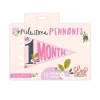 Lucy Darling Petit Milestone Pennant - Little Artist