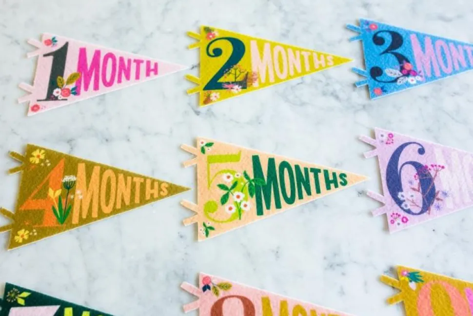 Lucy Darling Petit Milestone Pennant - Little Artist