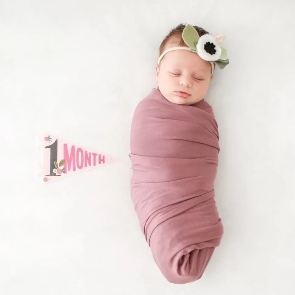 Lucy Darling Petit Milestone Pennant - Little Artist