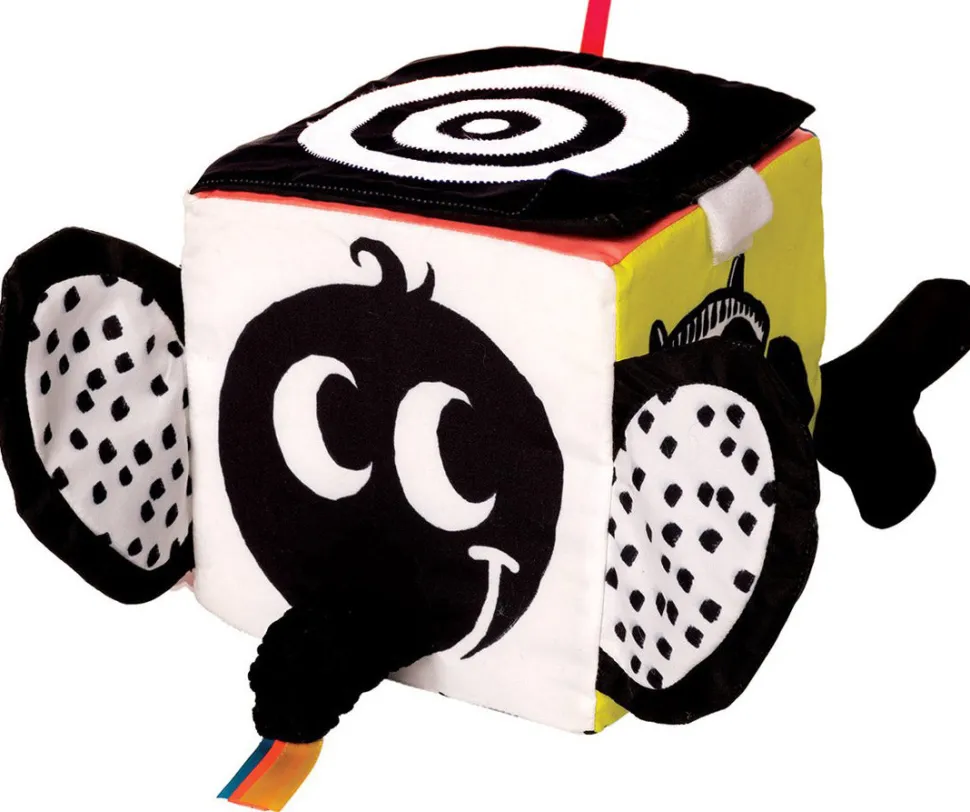 Manhattan Toy Wimmer Ferguson Learning Cube