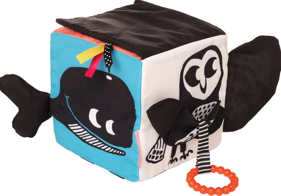 Manhattan Toy Wimmer Ferguson Learning Cube