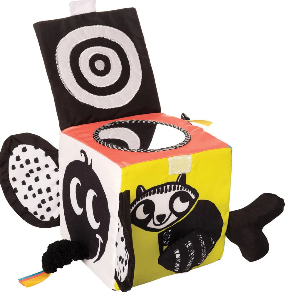 Manhattan Toy Wimmer Ferguson Learning Cube