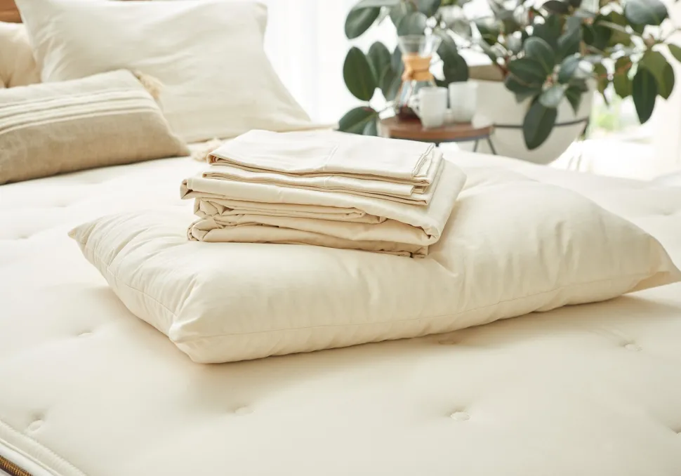 Naturepedic Organic Cotton Standard Pillowcase - Natural
