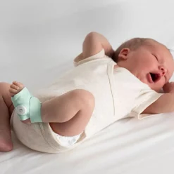 Owlet Dream Duo Smart Baby Monitoring System