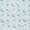 Pronto Cool Bum Liner - Teal Dinos