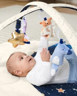 Skip Hop Celestial Dreams Activity Gym